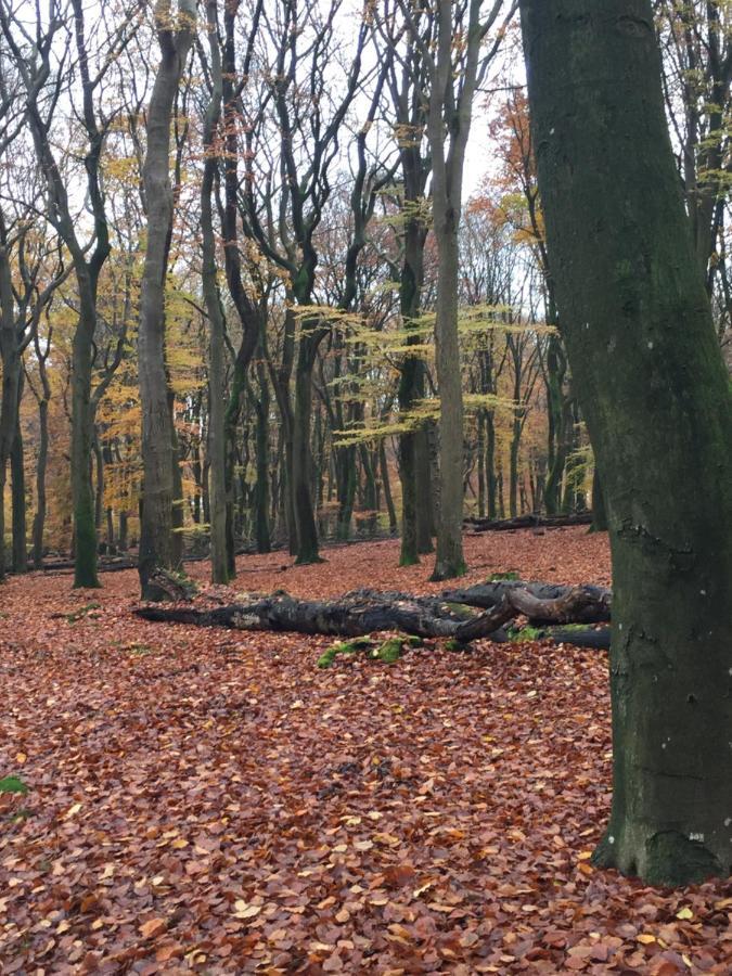 Riemershof Ermelo Exteriör bild